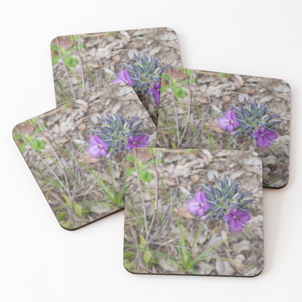 Item preview, Wildflower of Western Australia with Bees designed and sold by Mark ODwyer.