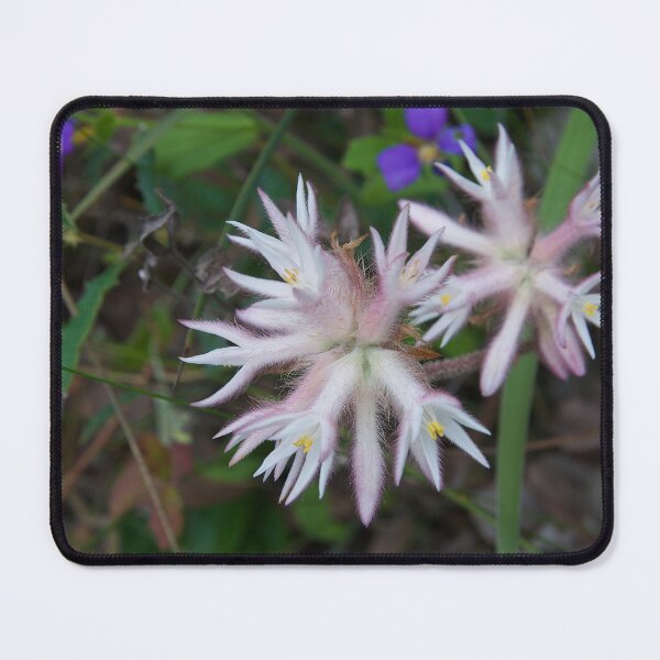 Item preview, Wildflowers of Western Australia in the hills behind Perth designed and sold by Mark ODwyer.