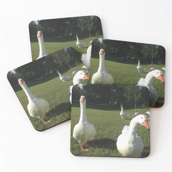 Item preview, Hungry Swans designed and sold by Studio LeDauphin.