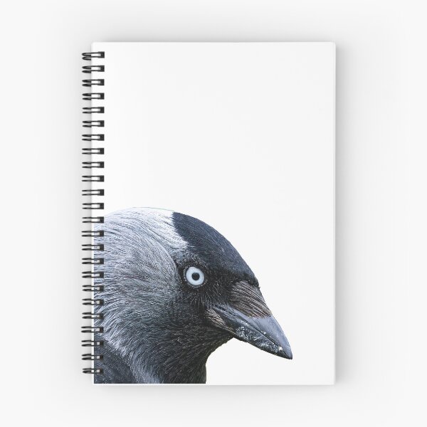 Item preview, El ojo de la grajilla designed and sold by inspireyoureyes.