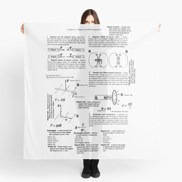 Physics. Magnets and Electromagnetism Scarf
