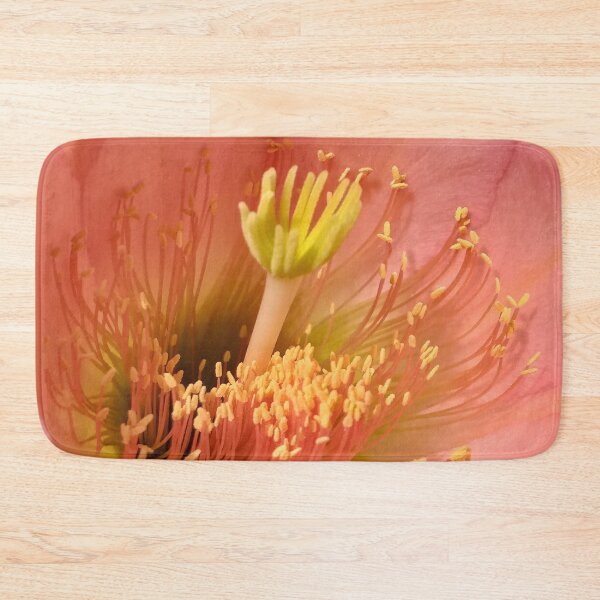 Item preview, succulenti designed and sold by anata77.