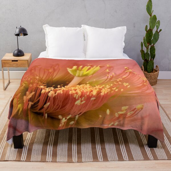 Item preview, succulenti designed and sold by anata77.