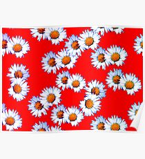 Red and White Daisy Poster
