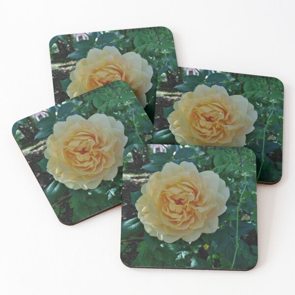 Item preview, Grace Yellow Rose - Fragrant & Beautiful designed and sold by JacquiRose23.