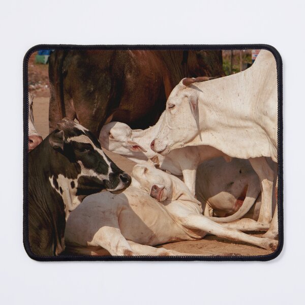 Item preview, Bovine Renaissance designed and sold by photonokha.