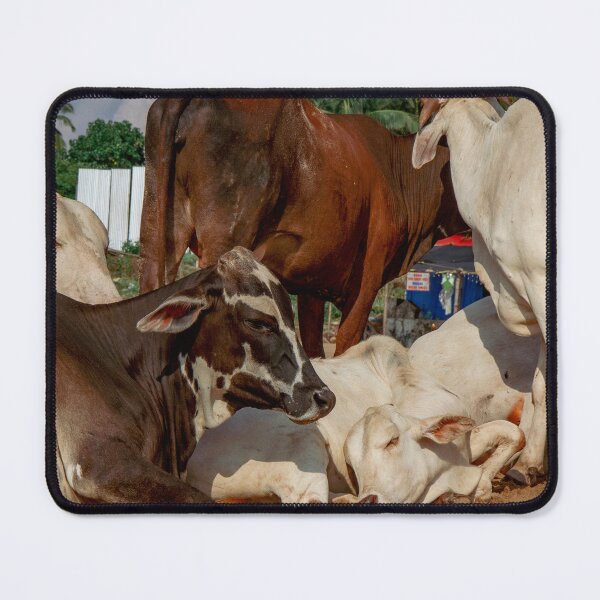 Item preview, Bovine Rest designed and sold by photonokha.