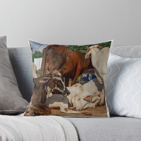 Item preview, Bovine Rest designed and sold by photonokha.