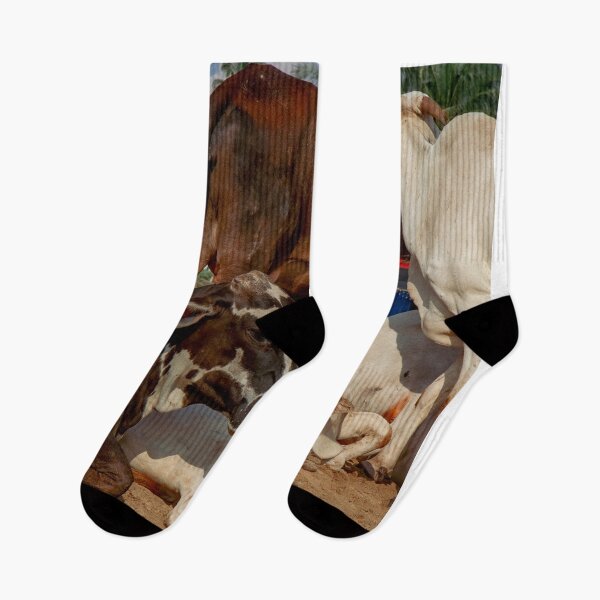 Item preview, Bovine Rest designed and sold by photonokha.