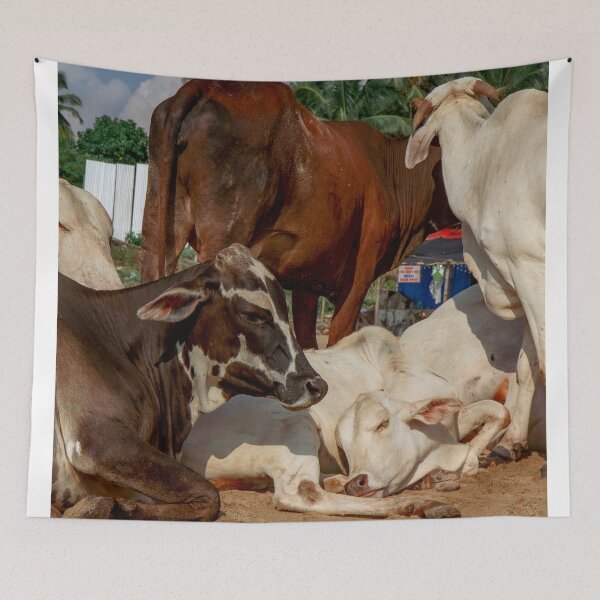 Item preview, Bovine Rest designed and sold by photonokha.