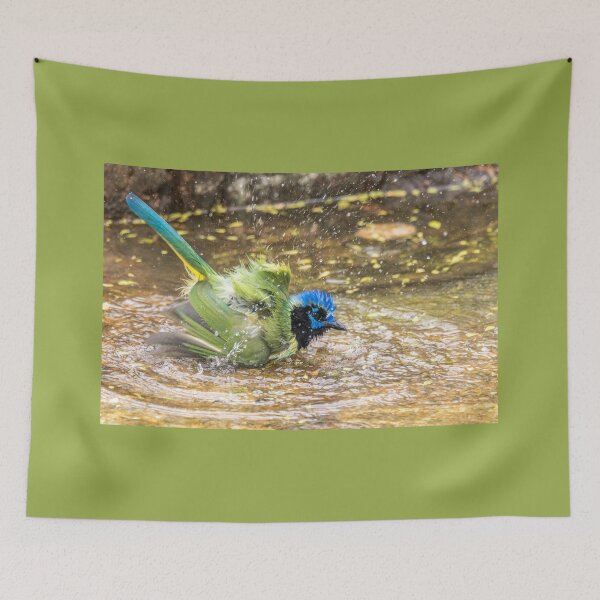 Item preview, Green Jay Water Puddle Bath designed and sold by Debra Martz.