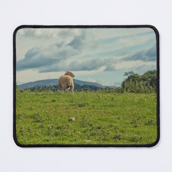 Item preview, Sheep on meadow designed and sold by Photopat.