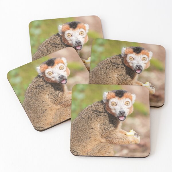 Item preview, Crowned Lemur's Surprise A Candid Expression designed and sold by rawshutterbug.