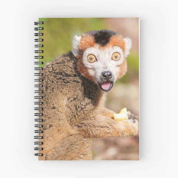 Item preview, Crowned Lemur's Surprise A Candid Expression designed and sold by rawshutterbug.