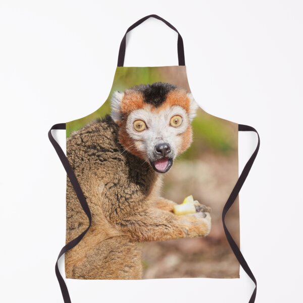 Item preview, Crowned Lemur's Surprise A Candid Expression designed and sold by rawshutterbug.