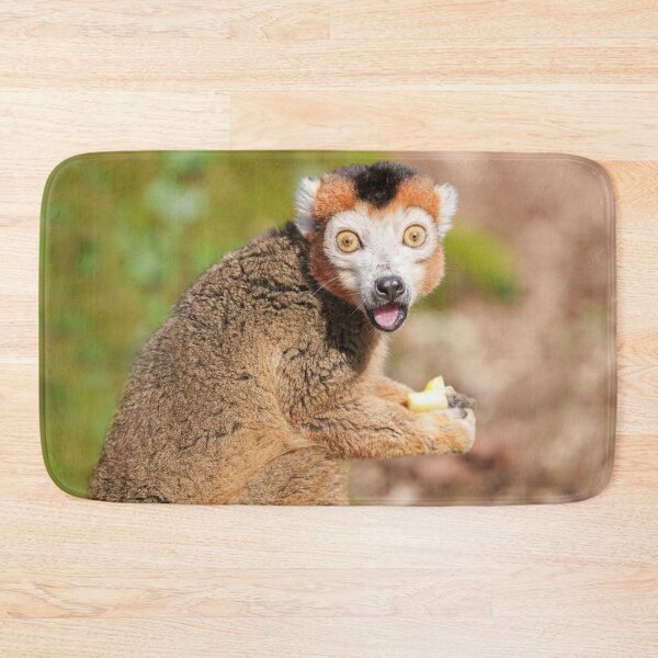 Item preview, Crowned Lemur's Surprise A Candid Expression designed and sold by rawshutterbug.