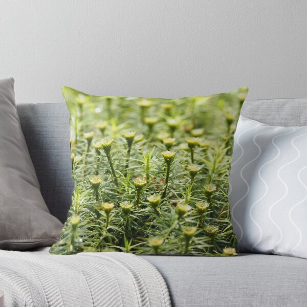 Item preview, Tiny forest of mosses designed and sold by Syr'photographies.