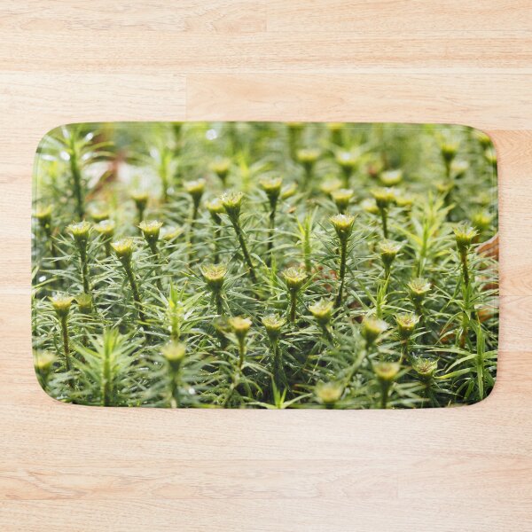 Item preview, Tiny forest of mosses designed and sold by Syr'photographies.