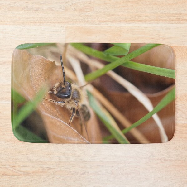 Item preview, Wild bee on dead leaf designed and sold by Syr'photographies.