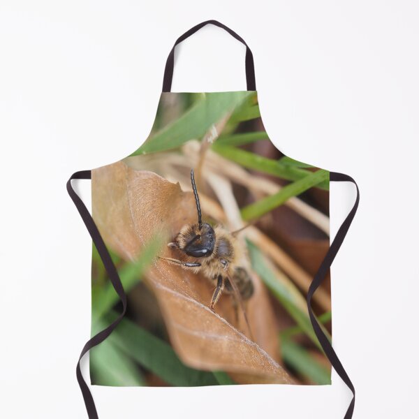 Item preview, Wild bee on dead leaf designed and sold by Syr'photographies.
