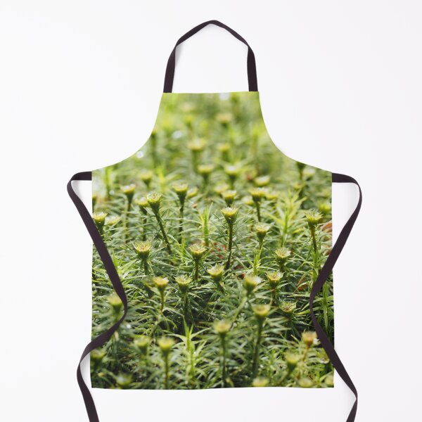 Item preview, Tiny forest of mosses designed and sold by Syr'photographies.