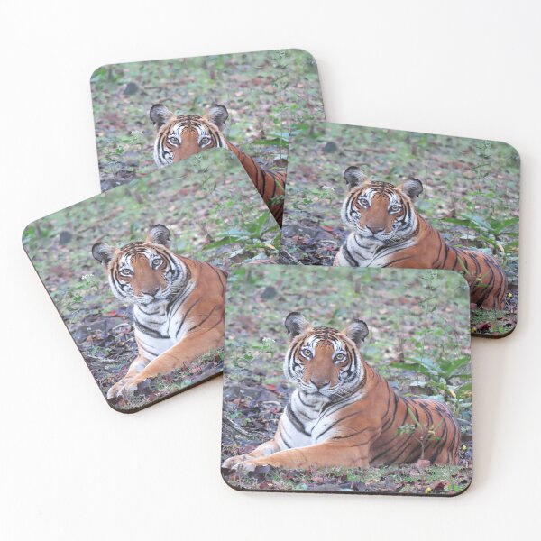 Item preview, Endangered Bengal Tiger with Eyes looking Straight at Camera! designed and sold by Linda Walsh.