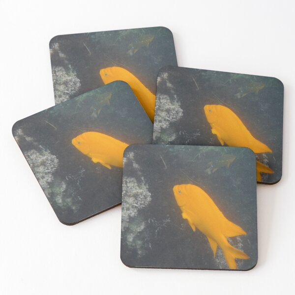 Item preview, Garibaldi in off the coast of California.  designed and sold by 13dragoons.
