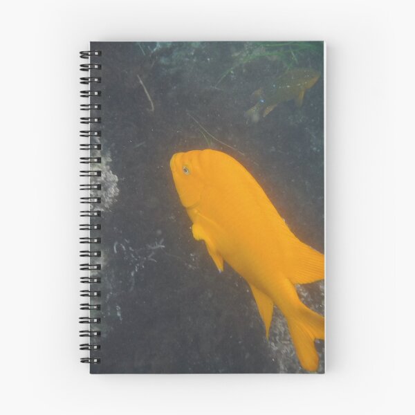 Item preview, Garibaldi in off the coast of California.  designed and sold by 13dragoons.