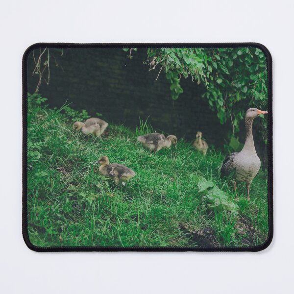 Item preview, Sheltered Security: A Mother Goose and Her Young in Nature designed and sold by Elianne Turennout.