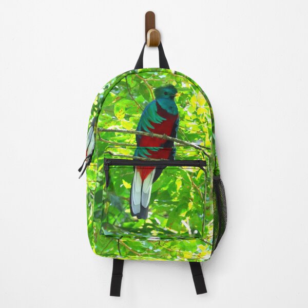 Item preview, Resplendant Quetzal Alvaro Miranda Panama Bird Photography designed and sold by Alvaro-Miranda.