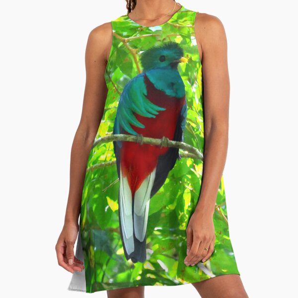 Quetzal Dresses for Sale | Redbubble