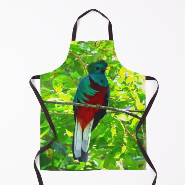 Item preview, Resplendant Quetzal Alvaro Miranda Panama Bird Photography designed and sold by Alvaro-Miranda.