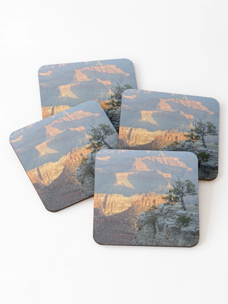 Thumbnail 1 of 5, Coasters (Set of 4), Branching Off designed and sold by Rorymacve.