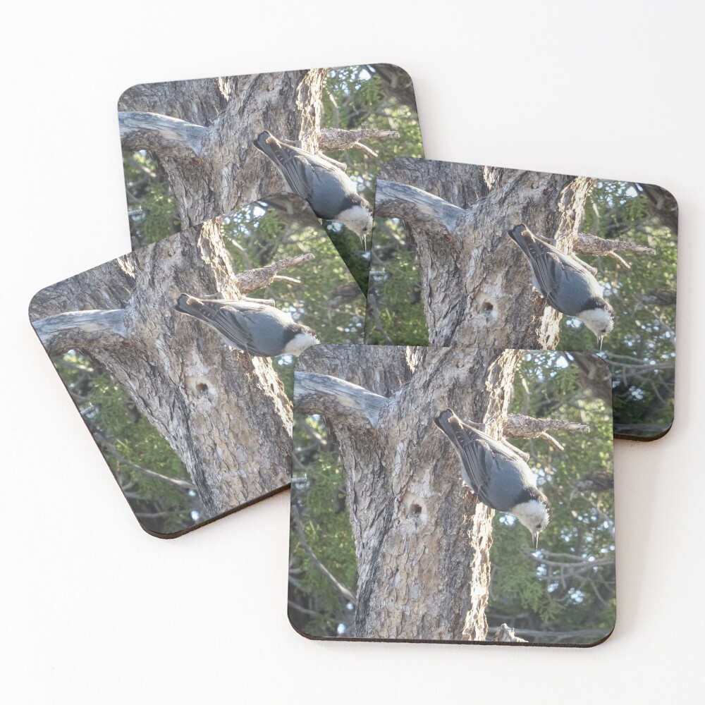 Item preview, Coasters (Set of 4) designed and sold by Rorymacve.
