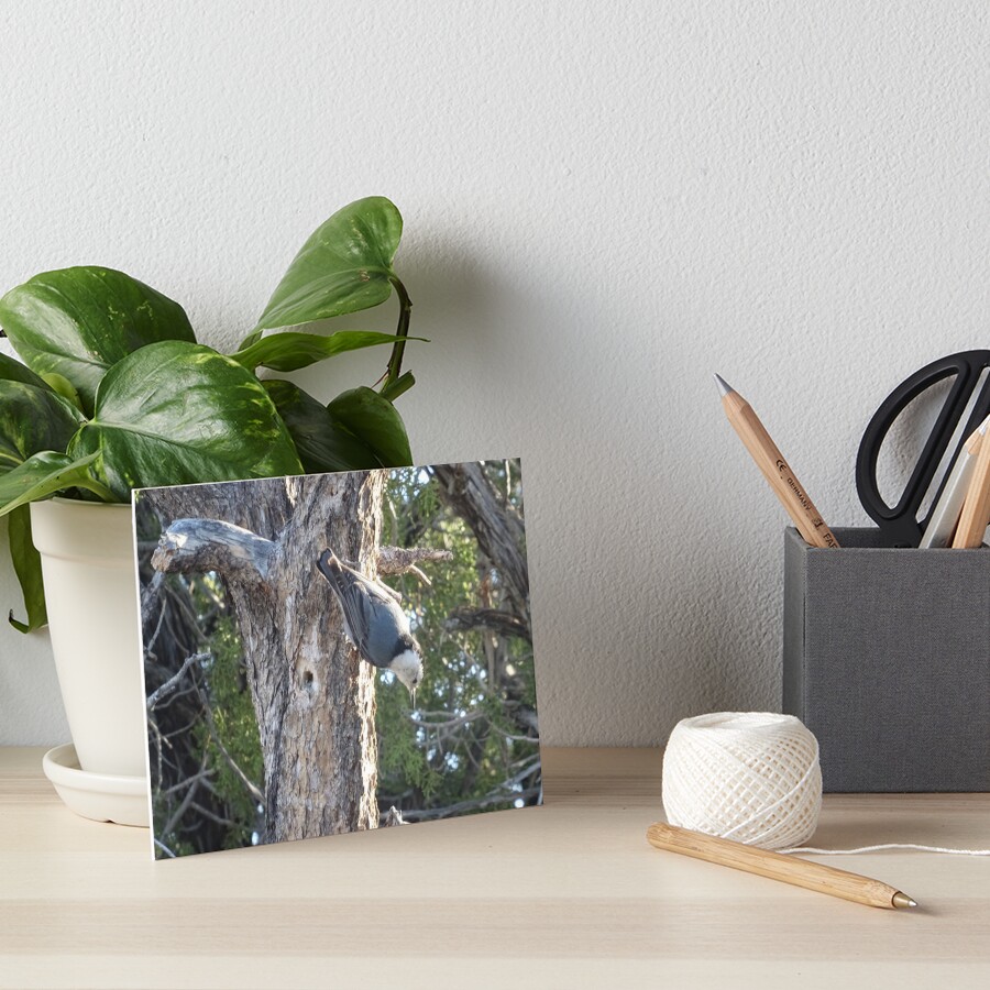 Item preview, Art Board Print designed and sold by Rorymacve.