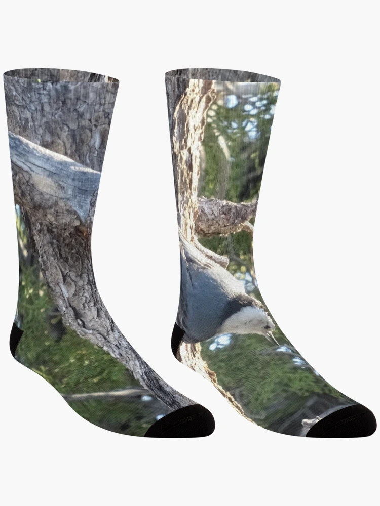Thumbnail 3 of 5, Socks, Hanging Around designed and sold by Rorymacve.