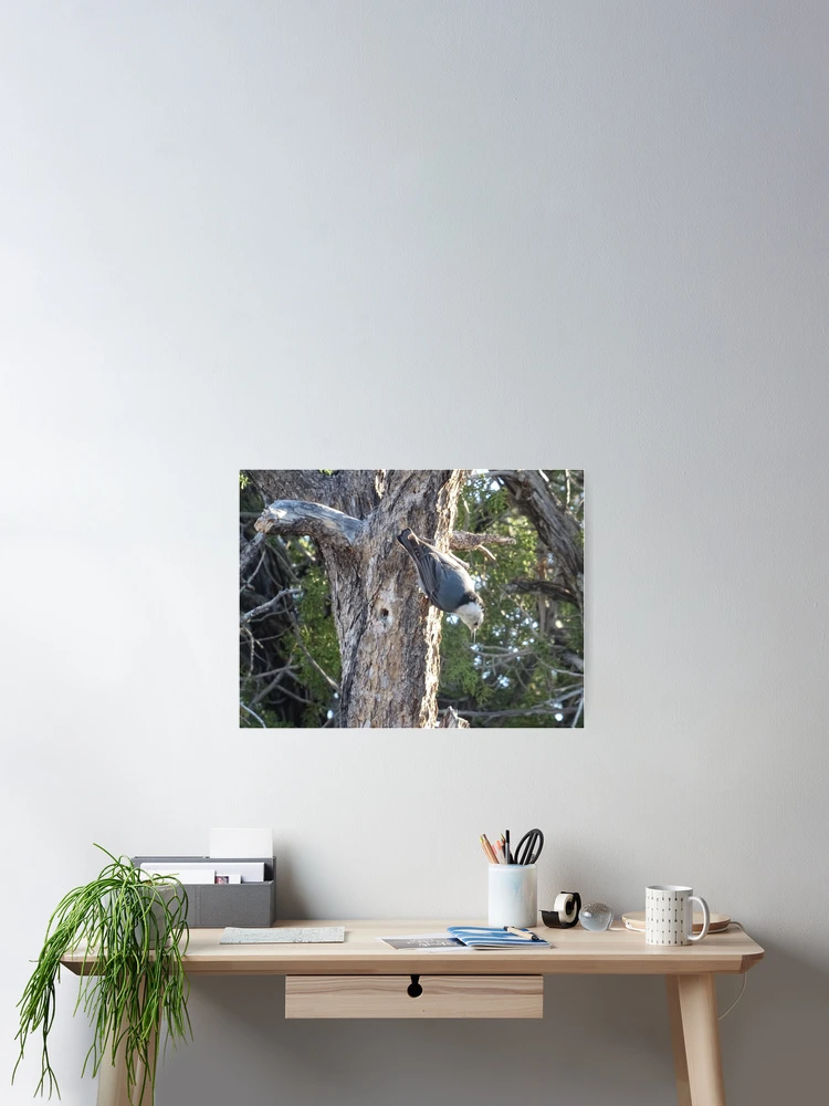 Thumbnail 2 of 3, Poster, Hanging Around designed and sold by Rorymacve.