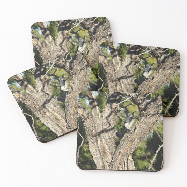 Item preview, The Pecking Order designed and sold by Rorymacve.
