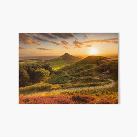 Path to Roseberry, North York moors, UK Art Board Print