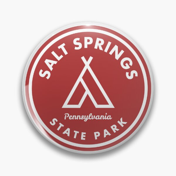 Artikelvorschau, Salt Springs State Park Pennsylvania Zelt entworfen und verkauft von bivenart.
