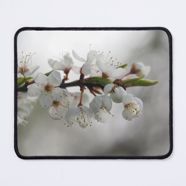 Item preview, White flowers and grey weather designed and sold by Syr'photographies.