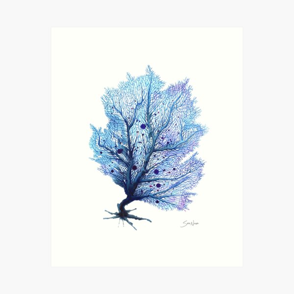 Fan Coral - Blue Art Print