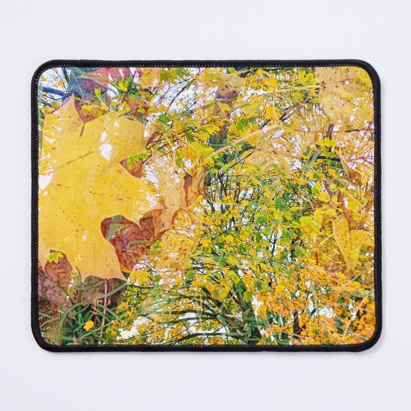 Item preview, A Local Autumn II designed and sold by dawnsm.