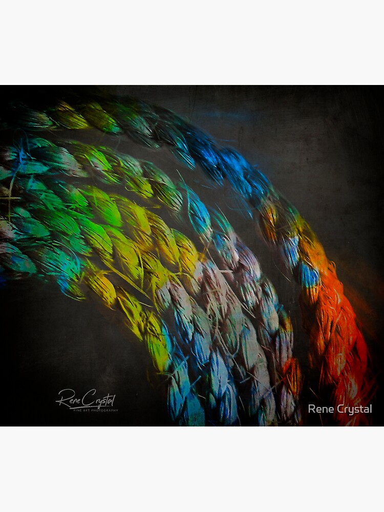Thumbnail 3 of 3, Sticker, Roping In The Color designed and sold by imagesbycrystal.