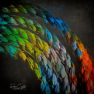 Artwork thumbnail, Roping In The Color by Rene Crystal
