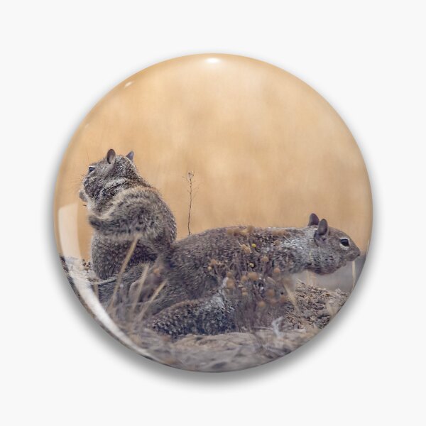 Item preview, California Ground Squirrel Siblings Gathered Near Their Burrow designed and sold by CarolM.