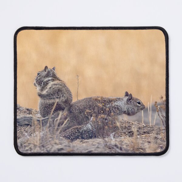 Item preview, California Ground Squirrel Siblings Gathered Near Their Burrow designed and sold by CarolM.