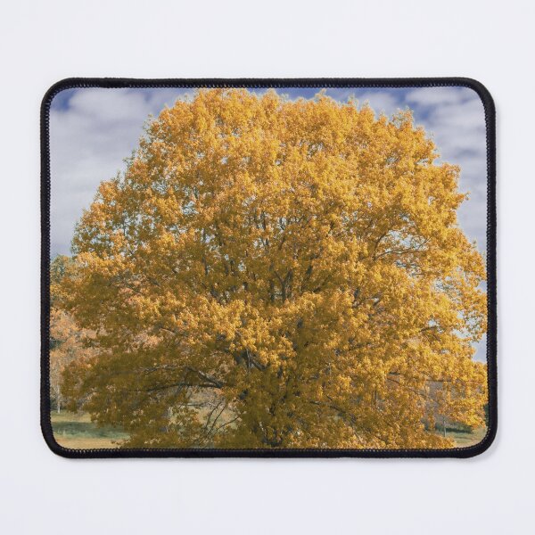 Item preview, Autumn Amber designed and sold by Christine Lake.