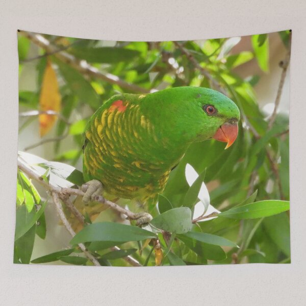 Item preview,  Scaly-breasted lorikeet designed and sold by Jenny  Dyer.