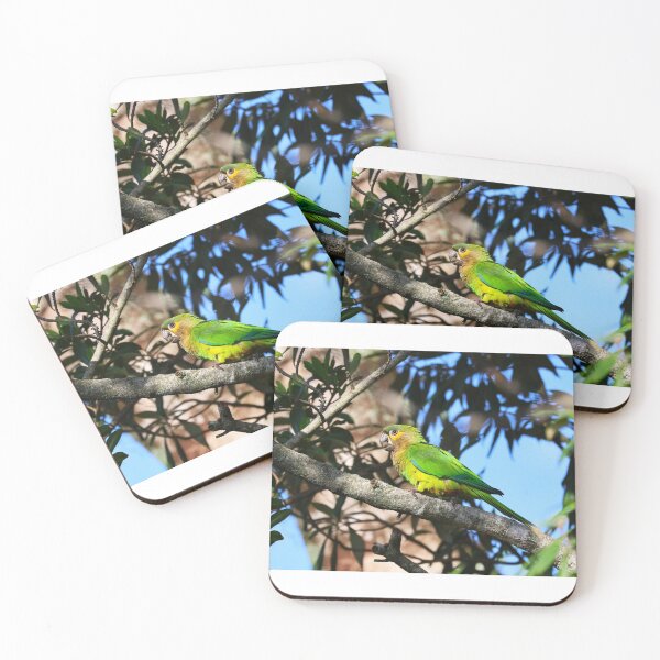 Item preview, Green Parrot Panama Casanga Alvaro Miranda Bird Photography designed and sold by Alvaro-Miranda.